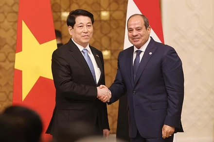 Chủ tịch nước Lương Cường và Tổng thống Ai Cập Abdel Fattah AL Sisi tại cuộc gặp gỡ báo chí, thông tin về kết quả hội đàm. (Ảnh: TTXVN) 