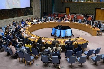 Toàn cảnh một cuộc họp Hội đồng Bảo an tại New York, Mỹ. (Ảnh: THX/TTXVN)