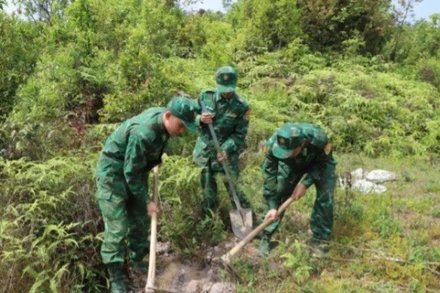 Bộ đội biên phòng phối hợp chính quyền địa phương trồng cây xanh trên tuyến biên giới thuộc địa phận xã Lũng Cú.