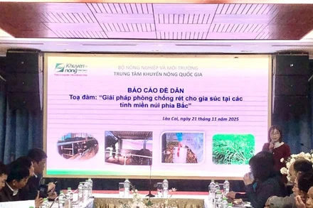 Quang cảnh tọa đàm.