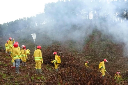 Thực hành, huấn luyện chữa cháy rừng tại xã Bằng Vân. (Ảnh: TUẤN SƠN).
