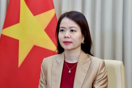 Thứ trưởng Ngoại giao Nguyễn Minh Hằng. (Ảnh: Bộ Ngoại giao)