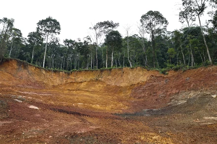 Tăng sức chống chịu trong bối cảnh thiên tai khốc liệt