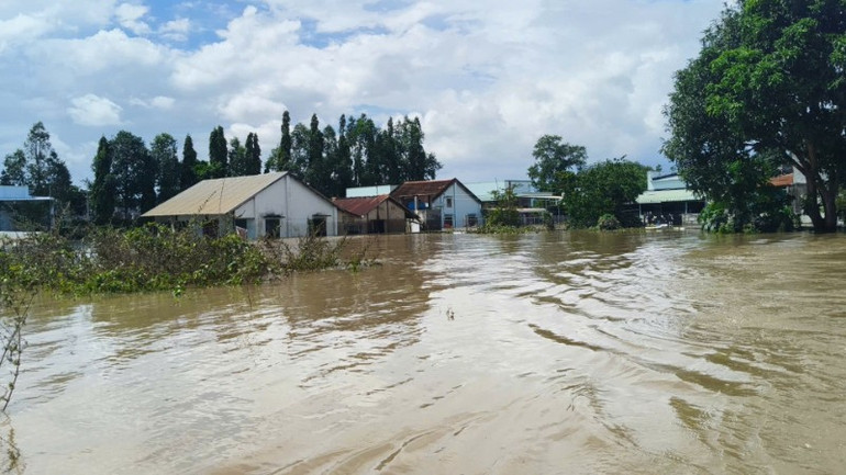 Nước lũ tại phường Hàm Thắng bất ngờ dâng lên lại. 1460241844584764814-8170.jpg