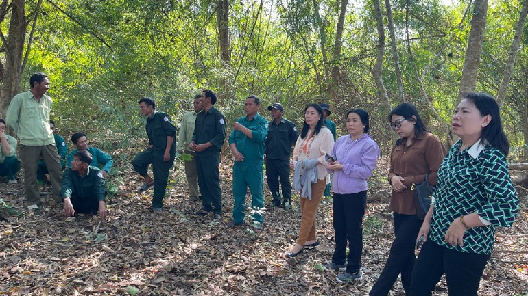 Lực lượng bảo vệ rừng phối hợp địa phương trong công tác quản lý. img-2929-520.jpg