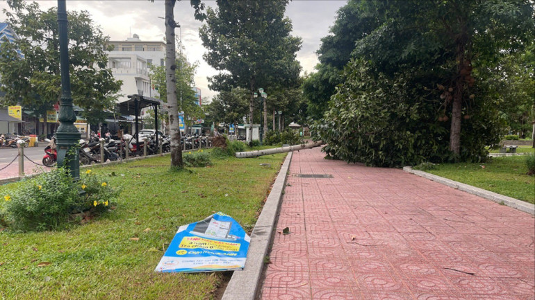 Cây xanh trong công viên Võ Văn Kiệt (phường Phú Thuỷ) bật gốc. Cây xanh trong công viên Võ Văn Kiệt (phường Phú Thuỷ) bật gốc.
