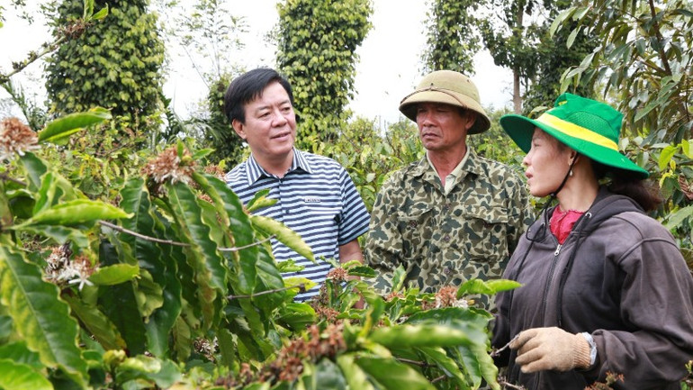 Ông Ngô Văn Đông, Tổng Giám đốc Công ty cổ phần Phân bón Bình Điền (bìa trái) trao đổi với nông dân tham gia mô hình Canh tác cà-phê thông minh thích ứng với biến đổi khí hậu tại Tây Nguyên. hinh-7-2309.jpg
