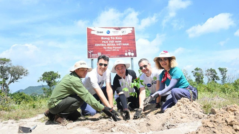Chương trình Forests for Good đã trồng được hơn 35.000 cây xanh tại nhiều tỉnh, thành phố. 1876882462024539936-9746.jpg