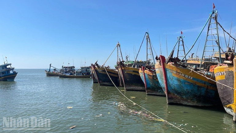 Các đơn vị kiên quyết không cho người và phương tiện hoạt động nghề cá đi khai thác thủy sản khi không bảo đảm về điều kiện hành nghề, trang thiết bị an toàn theo quy định. ndo_bl_img-8164-6961.jpg