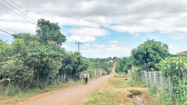 Những “vùng đệm xanh” yên bình của cây trái, vườn tược khu vực biên giới.