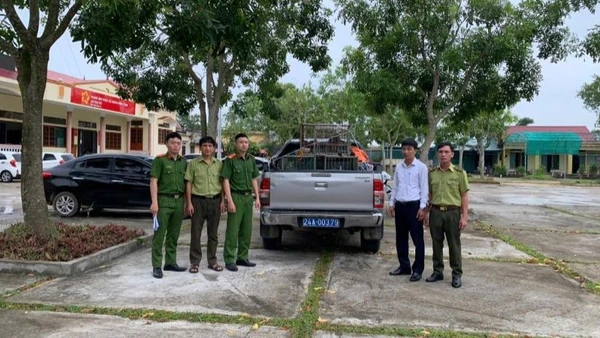 Buổi giao nhận cá thể khỉ mốc cho Trung tâm Du lịch và bảo tồn sinh vật Hoàng Liên chăm sóc, bảo vệ trước khi thả về môi trường tự nhiên.