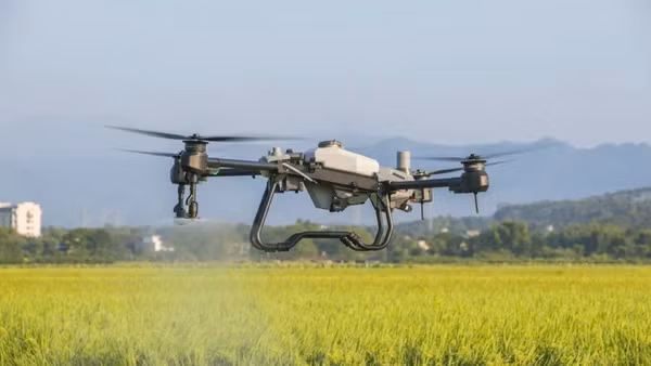 Sử dụng drone phun thuốc bảo vệ thực vật cho lúa tại Công ty cổ phần thiết bị bay AgriDrone Việt Nam. (Ảnh AgriDrone Việt Nam)