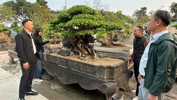 Du khách tham quan vườn cây cảnh tại xã Hồng Vân.