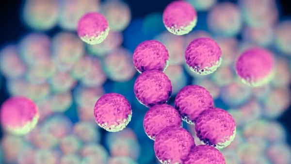 (Ảnh minh họa. Nguồn: healthcare/TTXVN)