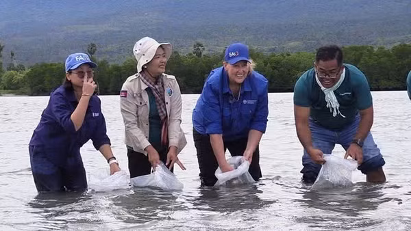 Đại diện các cơ quan chức năng Campuchia phối hợp FAO thả cua giống tại vùng nước ven biển. (Ảnh: Khmer Times)