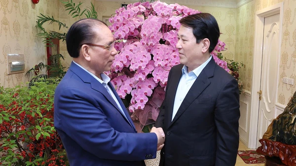 Chủ tịch nước Lương Cường chúc Tết nguyên Tổng Bí thư Nông Đức Mạnh.