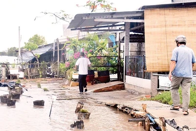 Lối vào khu dân cư khóm Sa Phô nằm dọc tuyến sông Cửa Lớn (thị trấn Năm Căn, huyện Năm Căn, tỉnh Cà Mau) bị sạt lở làm hư hỏng.