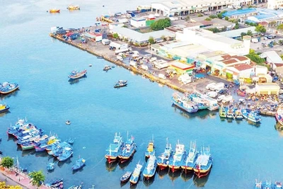 Lâm Đồng có thế mạnh trong phát triển kinh tế biển.