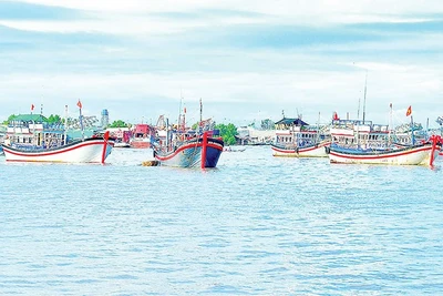 Nhiều tàu cá cập cảng cùng thời điểm nên công tác khai báo và bốc dỡ hàng hóa bị chậm trễ.