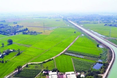 Kênh Đông đã thay đổi bộ mặt nông nghiệp của địa phương, biến mảnh đất khô cằn trở nên màu mỡ, trù phú.