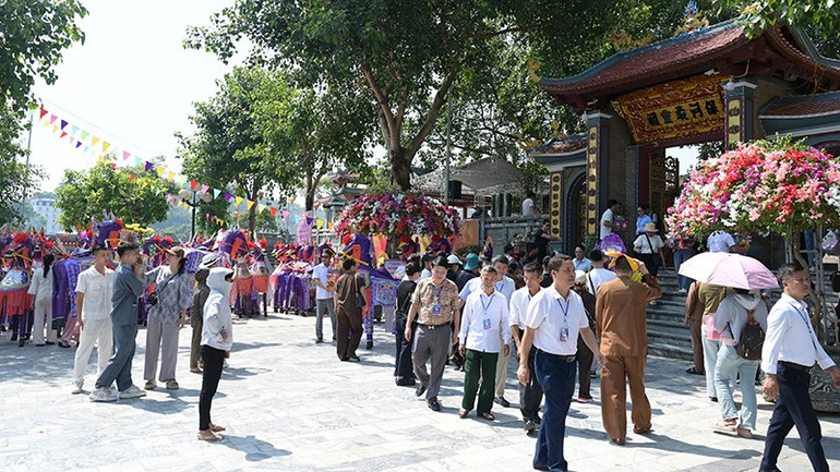 hai-4559.jpg