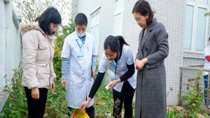 Cán bộ y tế hướng dẫn người dân trên địa bàn thành phố Hà Nội dọn dẹp vệ sinh, bảo vệ môi trường, phòng, chống sốt xuất huyết.