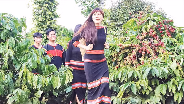 Đồng bào các dân tộc tỉnh Đắk Lắk hết sức tự hào khi Bộ Văn hóa, Thể thao và Du lịch công nhận “Tri thức trồng và chế biến cà-phê Đắk Lắk” là di sản văn hóa phi vật thể quốc gia, thuộc tri thức dân gian.