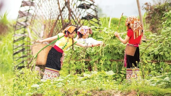 Đến với Hoa Tiến, du khách được hòa mình vào không gian đậm chất văn hóa đồng bào Thái ở miền tây Nghệ An.