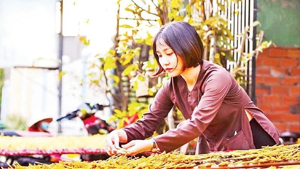 Một phụ nữ ở làng nghề se nhang Lê Minh Xuân đang phơi nhang.