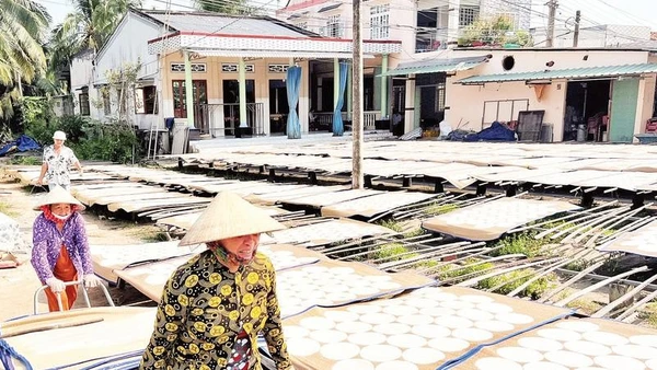 Người dân làng nghề Sơn Đốc tất bật phơi bánh phồng những ngày cận Tết.