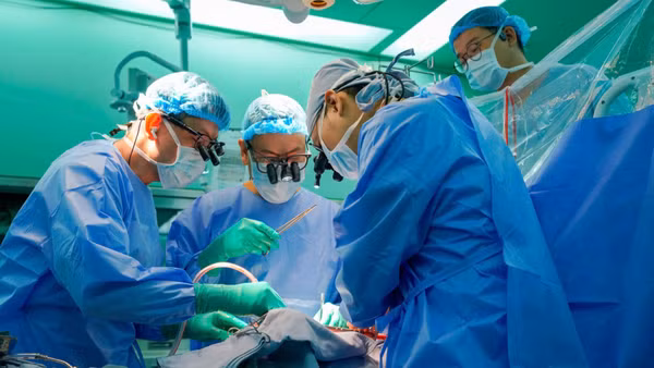 Ê-kíp ghép tim tập trung cao độ thực hiện ca ghép. 