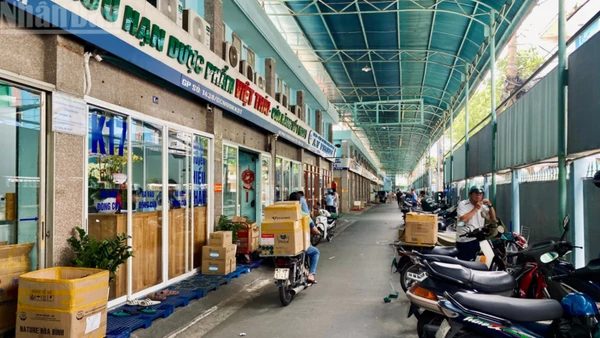 Khu vực kinh doanh dược phẩm quy mô lớn tại phường Hòa Hưng, Thành phố Hồ Chí Minh.