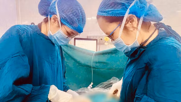 Ê-kíp phẫu thuật bóc tách hai khối u cho bệnh nhân nữ.