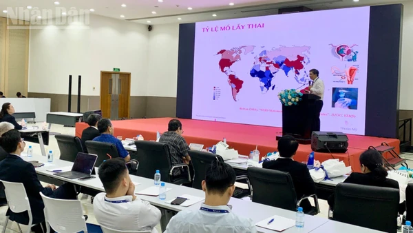 Chuyên gia y tế trình bày tham luận về sản nhi tại hội thảo.