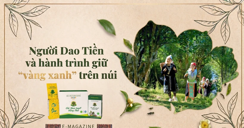 Người Dao Tiền và hành trình giữ “vàng xanh” trên núi