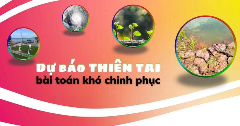 nhandan.vn