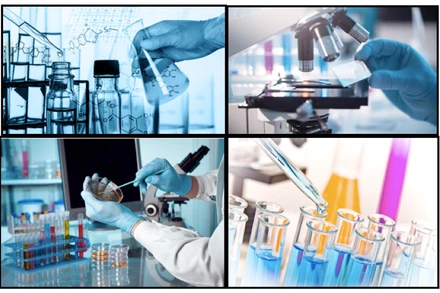 (Ảnh minh họa: FAO)