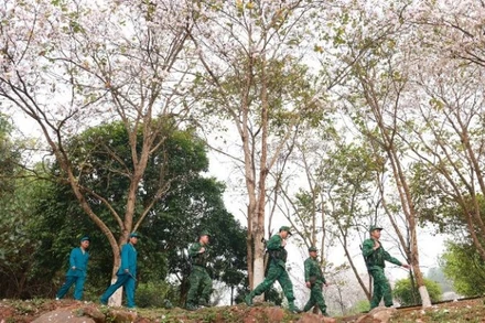 Cán bộ, chiến sĩ Đồn Biên phòng A Pa Chải tuần tra biên giới. (Ảnh: BÁO NHÂN DÂN)