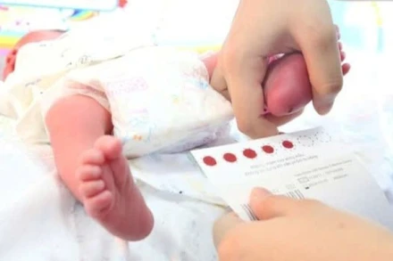 Lấy máu gót chân sàng lọc bệnh cho trẻ sơ sinh.