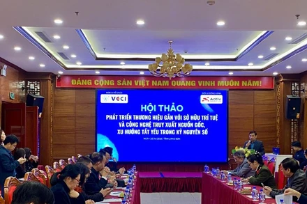 Toàn cảnh Hội thảo. (Ảnh: TL)