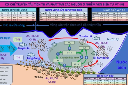 Sơ đồ cơ chế truyền tải, tích tụ và phát tán các nguồn ô nhiễm ven biển từ Vũng Tàu đến Kiên Giang. (Ảnh: TL)