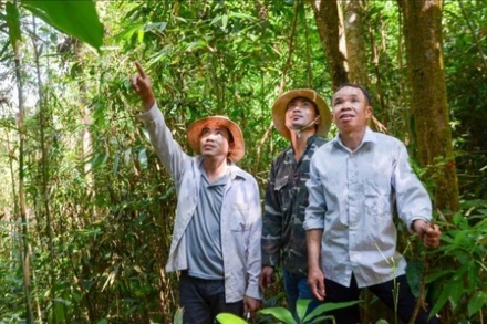 Các chủ rừng tại tỉnh Điện Biên thực hiện tuần tra, bảo vệ rừng trên diện tích được chi trả dịch vụ môi trường rừng.