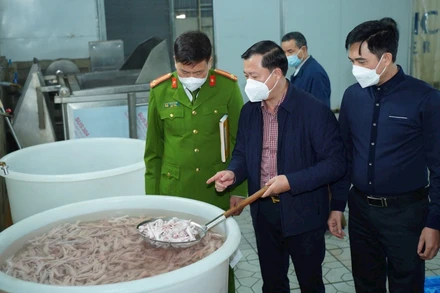 Đoàn kiểm tra liên ngành an toàn thực phẩm của thành phố Hà Nội kiểm tra điều kiện thực tế tại một công ty sản xuất chế biến thực phẩm đóng trên địa bàn Hà Nội. (Ảnh: THU TRANG)