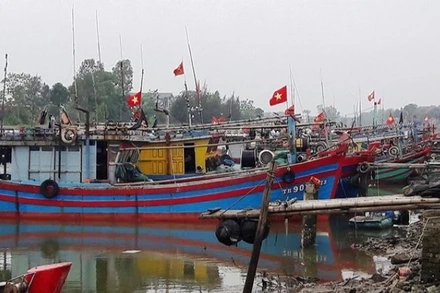 Nhiều tàu cá ở Thanh Hóa đã vào nơi neo đậu, tránh bão.