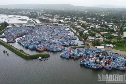 Tàu cá của ngư dân neo đậu tại cảng Tịnh Hòa (Quảng Ngãi).
