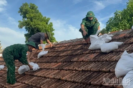 Cán bộ, chiến sĩ Đồn Biên phòng Cát Hải giúp người dân gia cố nhà cửa.