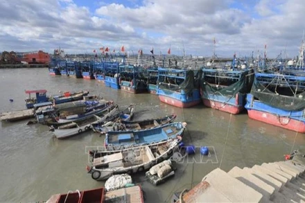 Các tàu đánh cá neo đậu về cảng tránh bão ở thị trấn Tuyền Châu, tỉnh Phúc Kiến, Trung Quốc ngày 22/9/2025. (Ảnh: THX/TTXVN)