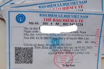 Thẻ bảo hiểm y tế học sinh. (Nguồn: TTXVN)