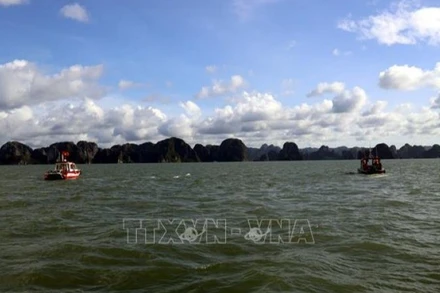 Các xuồng thuộc Phòng Cảnh sát Phòng cháy chữa cháy và Cứu nạn cứu hộ (Công an tỉnh Quảng Ninh) tham gia tìm kiếm khu vực trên vịnh Hạ Long. (Ảnh: Đức Hiếu/TTXVN)