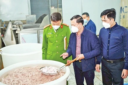 Kiểm tra công tác vệ sinh an toàn thực phẩm tại Công ty TNHH sản xuất chế biến thực phẩm Alishan thuộc địa bàn Hà Nội. (Ảnh: THU TRANG)